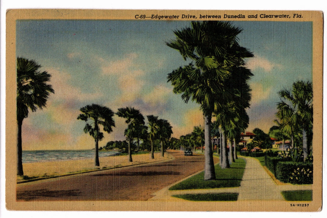 1935 Florida's West Coast Edgewater Drive Vintage Postcard, Dunedin & Clearwater.