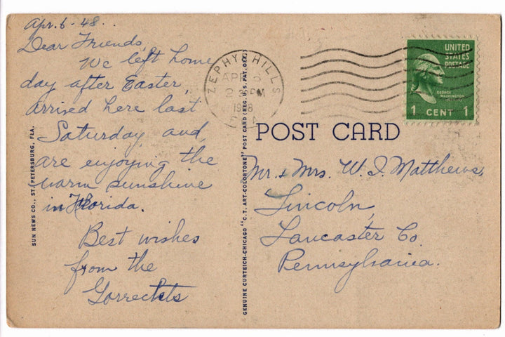 1935 Florida's West Coast Edgewater Drive Vintage Postcard, Dunedin & Clearwater