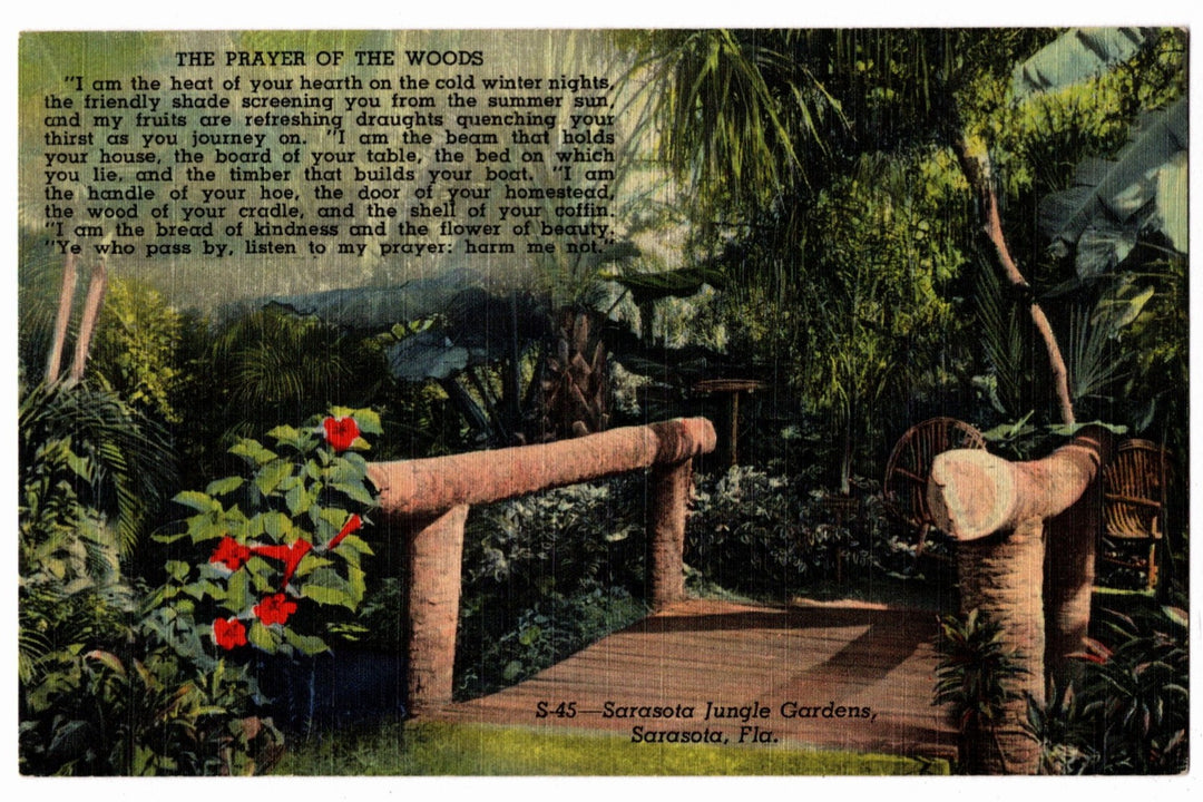 Jungle Gardens Prayer Sarasota Florida Vintage Postcard.