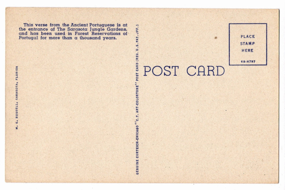 1946 Jungle Gardens Prayer Sarasota Florida Vintage Postcard