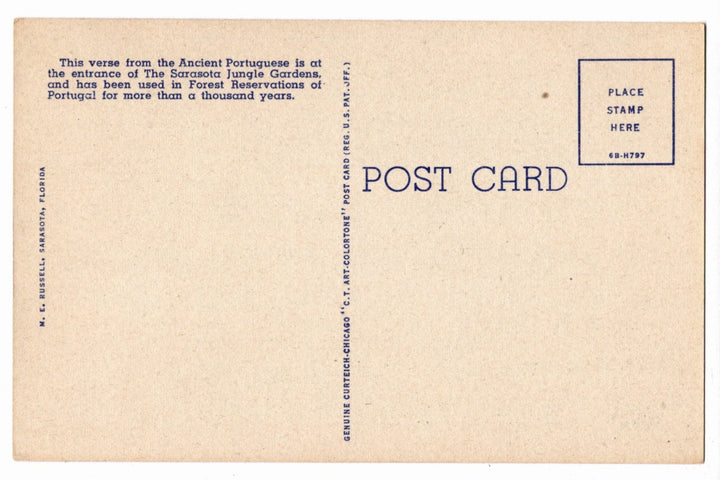 1946 Jungle Gardens Prayer Sarasota Florida Vintage Postcard