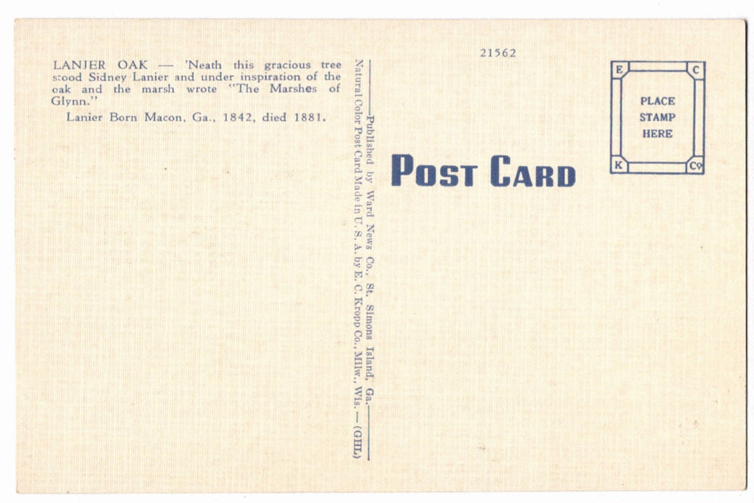 1941 Sidney Lanier Tree Glynn Brunswick Georgia Vintage Postcard