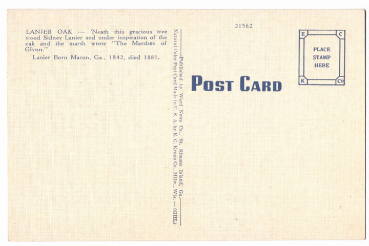 1941 Sidney Lanier Tree Glynn Brunswick Georgia Vintage Postcard