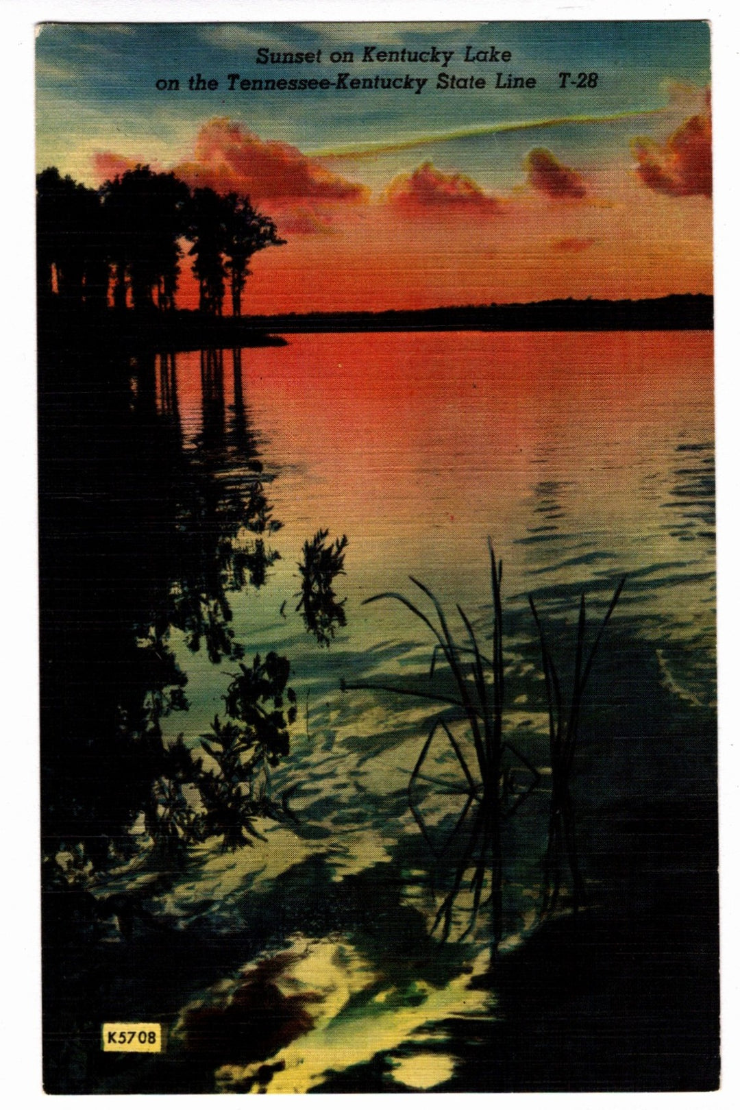  1952 Kentucky Lake Tennessee and Kentucky Vintage Postcard.