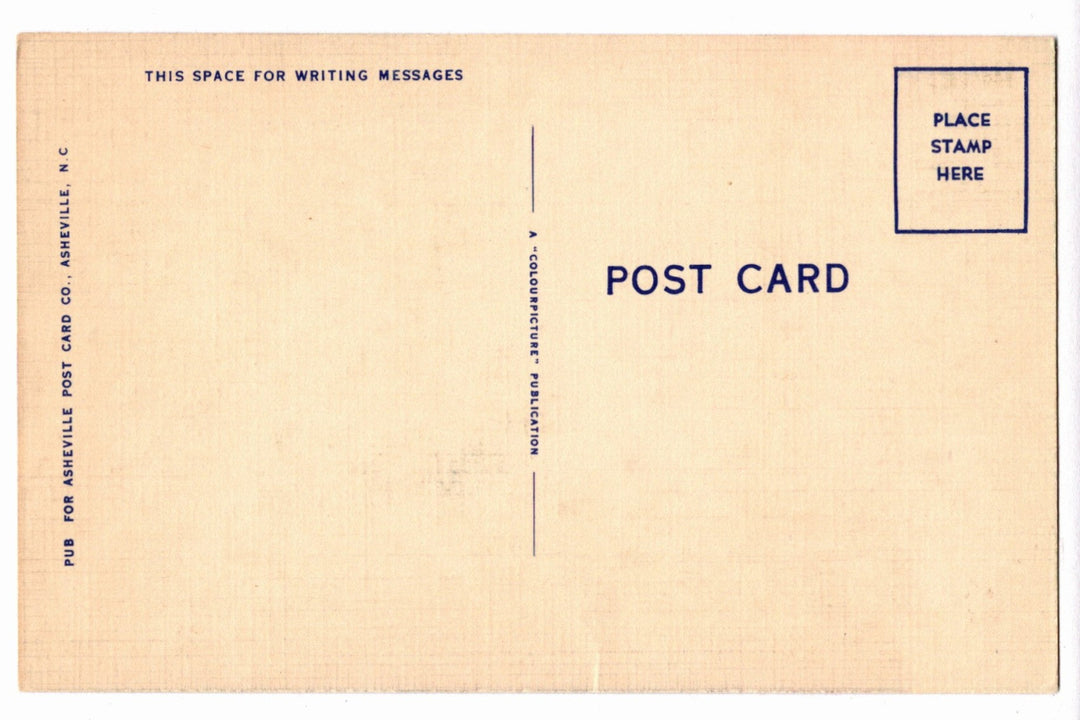 1952 Kentucky Lake Tennessee and Kentucky Vintage Postcard