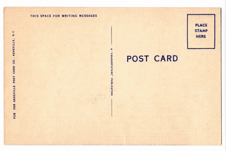 1952 Kentucky Lake Tennessee and Kentucky Vintage Postcard