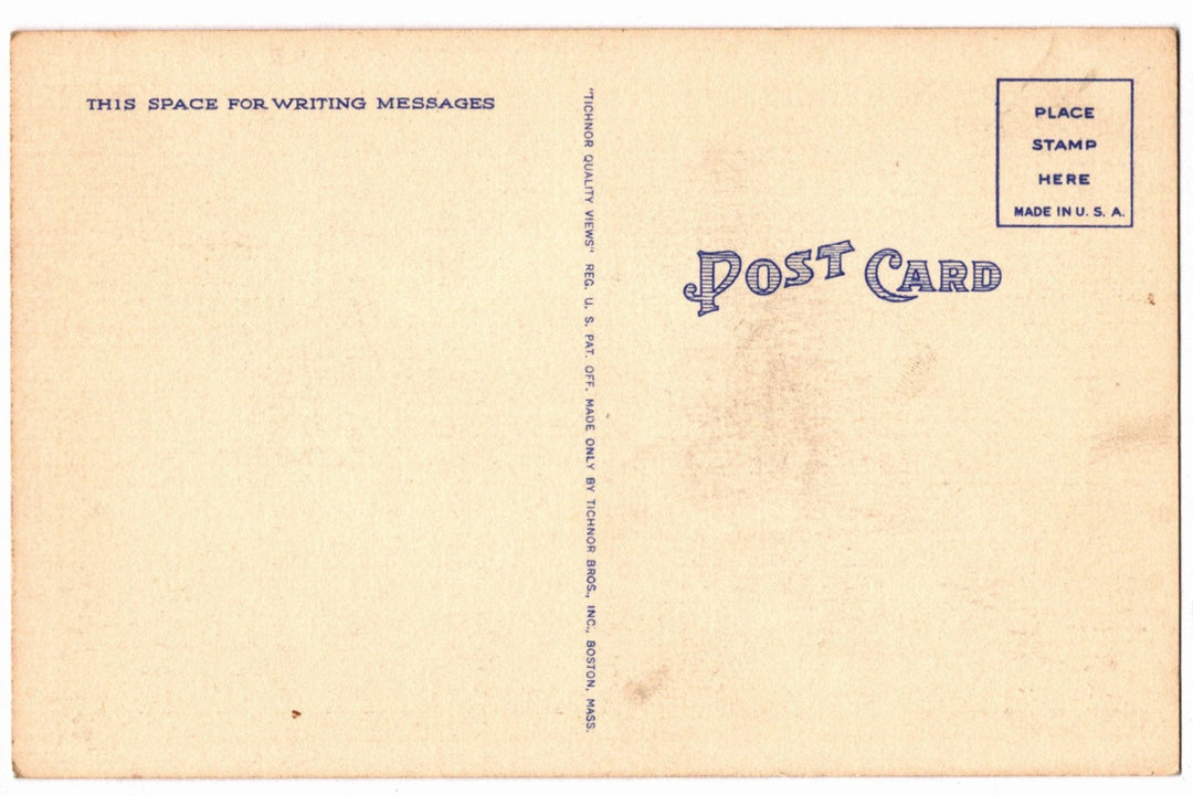 1938 Greetings From The State Of Maine Vintage Postcard, Pine Tree State