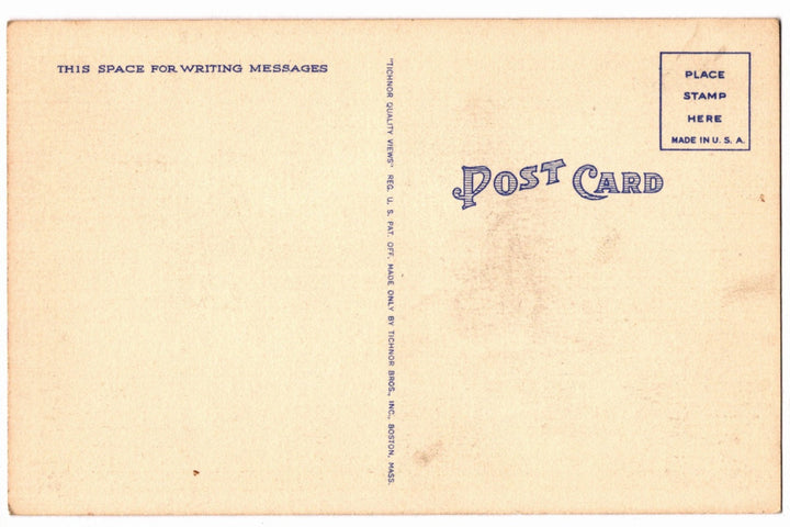 1938 Greetings From The State Of Maine Vintage Postcard, Pine Tree State