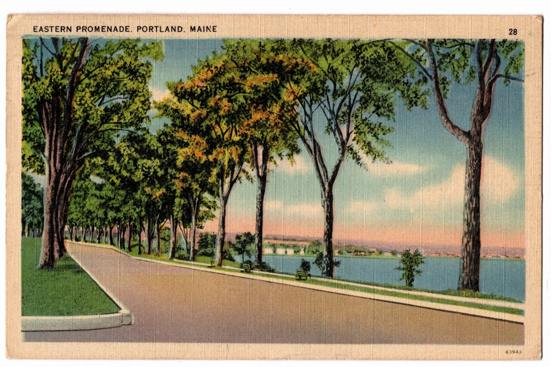 Colorful vintage postcard of Eastern Promenade in Portland, Maine with trees lining a path by a body of water.