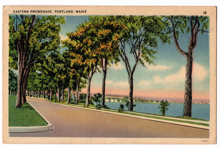 Colorful vintage postcard of Eastern Promenade in Portland, Maine with trees lining a path by a body of water.