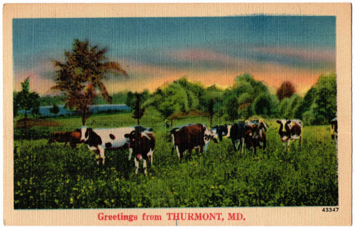 1946 Greetings from Thurmont MD Postcard.