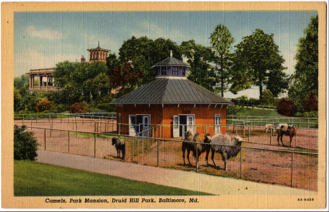 1934 Camels Park Mansion Druid Hill Park Baltimore MD Postcard.