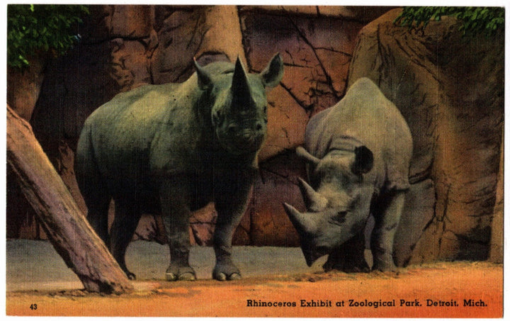 Two rhinos in a zoo exhibit with a rocky background