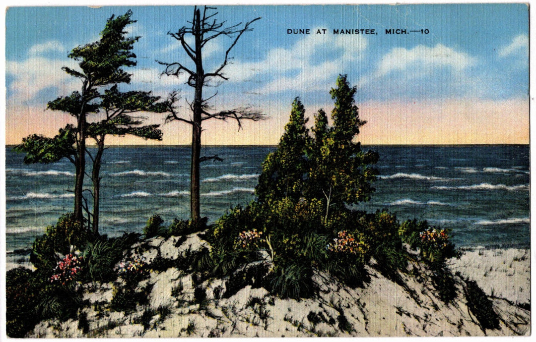 1946 Dune at Manistee MI Postcard.