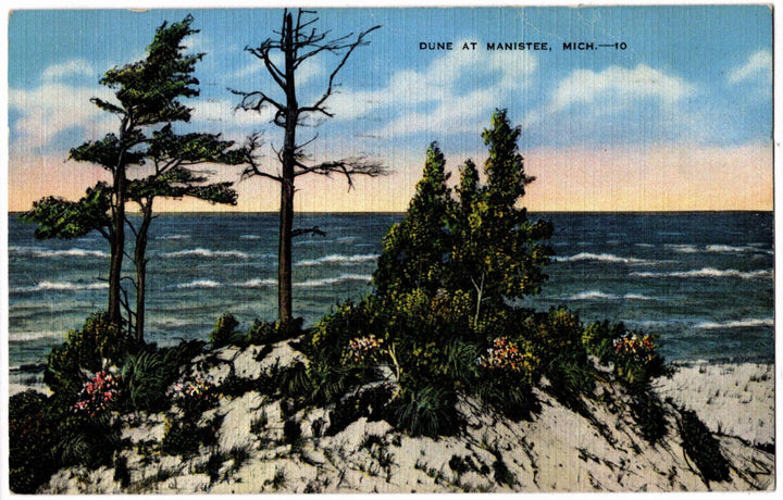1946 Dune at Manistee MI Postcard.