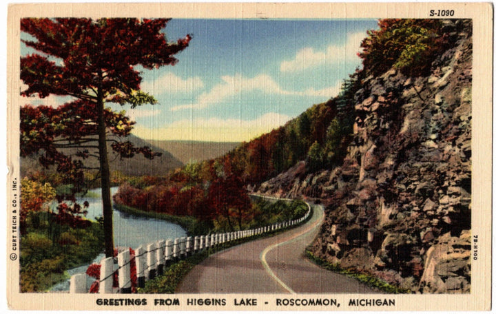 Higgins Lake Roscommon MI Vintage postcard.