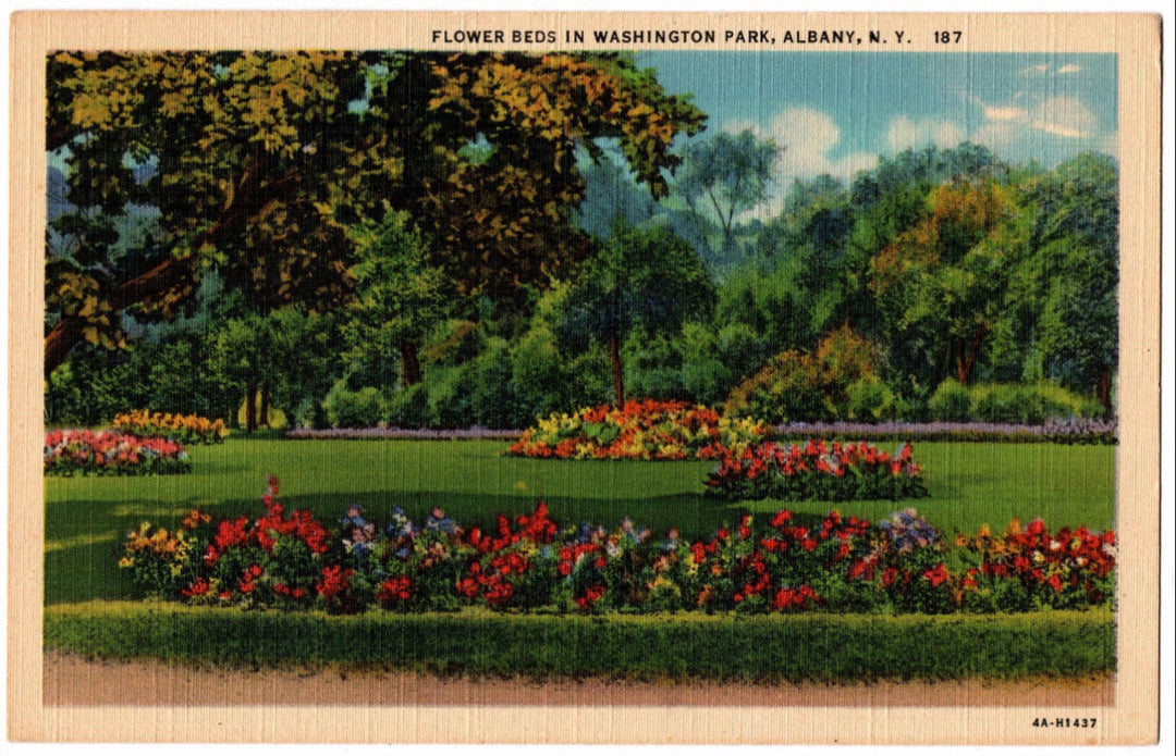 1934 Washington Park Flower Beds Albany NY Postcard.