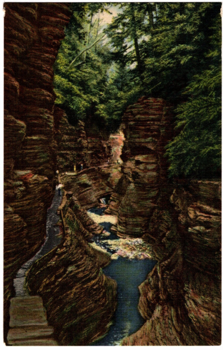1951 Cliffs Watkins Glen State Park NY Postcard.