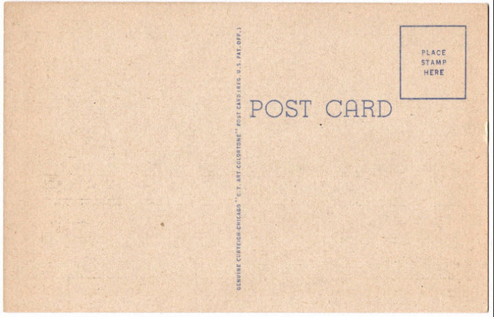 Back of postcard.