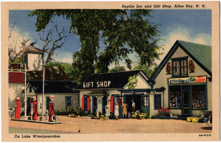 1948 Reptile Zoo and Gift Shop Alton Bay NH Postcard.