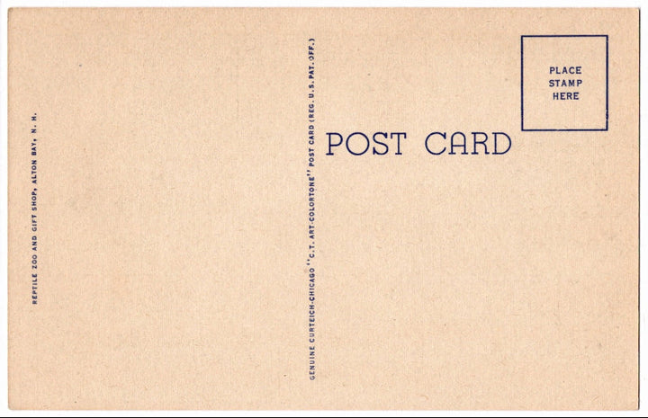 Back of postcard.