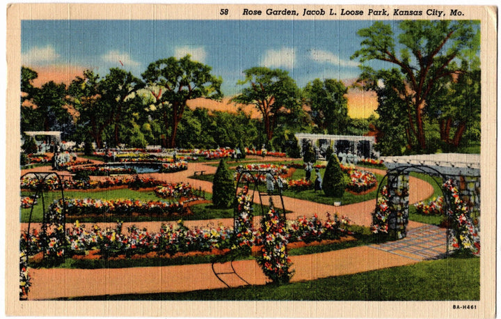 Vintage postcard of the rose garden in Jacob L. Looce Park, Kansas City, MO.