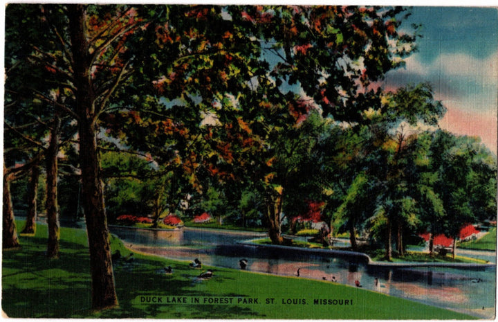 Colorful postcard of Duck Lake in Forest Park, St. Louis, Missouri with trees and a lake.