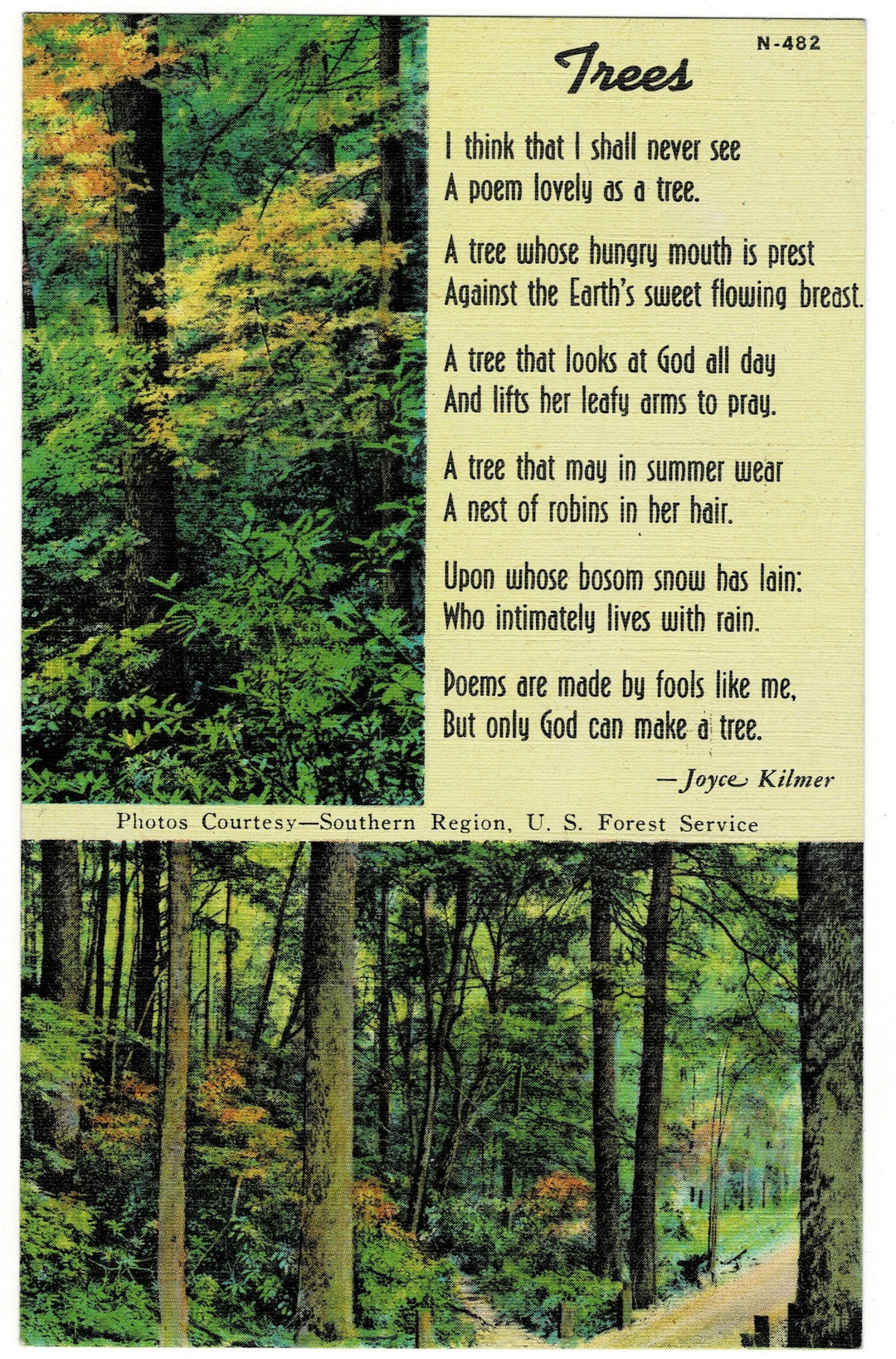Vintage postcard.