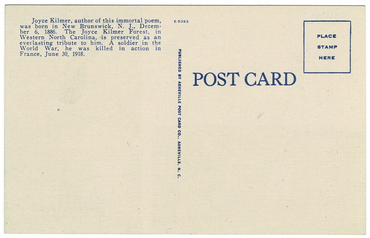 Vintage postcard.