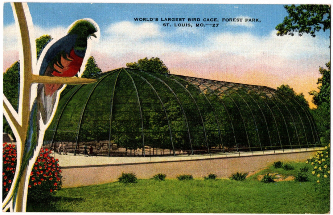 Vintage postcard of the World's Largest Bird Cage in Forest Park, St. Louis, MO.