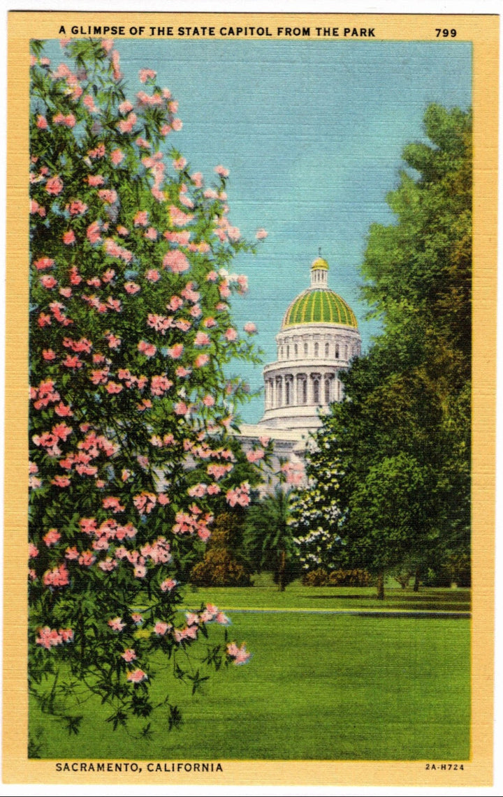 Vintage postcard of the California State Capitol from a park in Sacramento, California.