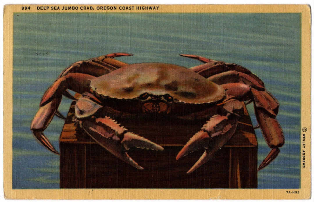 Vintage postcard of a deep sea jumbo crab on a wooden block with a blue water background.