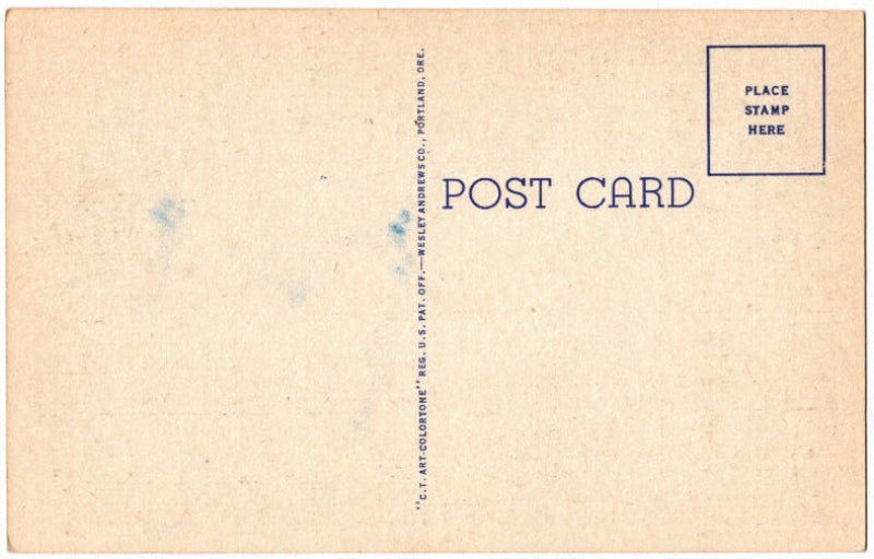 Back of postcard.
