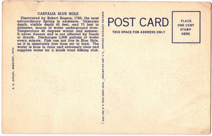 Back of postcard.