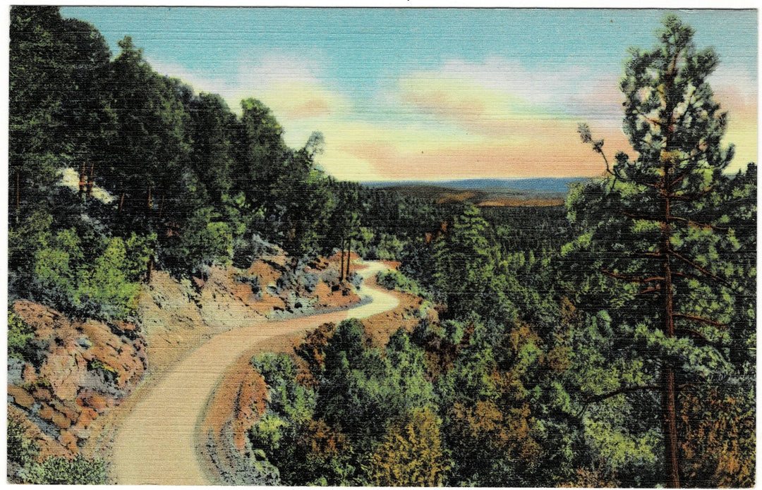 Vintage postcard.