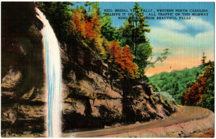 Vintage postcard of Bridal Veil Falls in Western North Carolina with a scenic road and autumn trees.