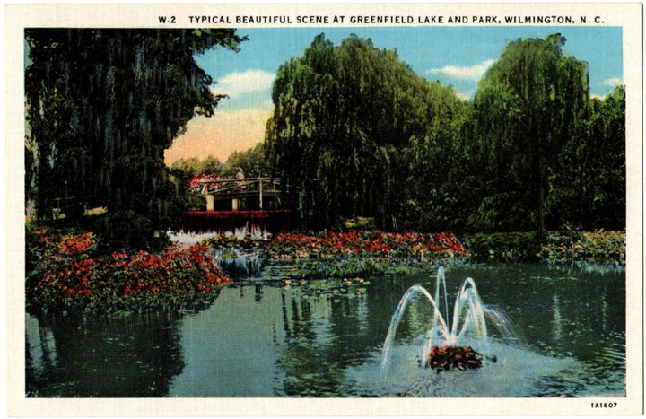 Vintage postcard of Greenfield Lake and Park in Wilmington, NC with a fountain and trees.