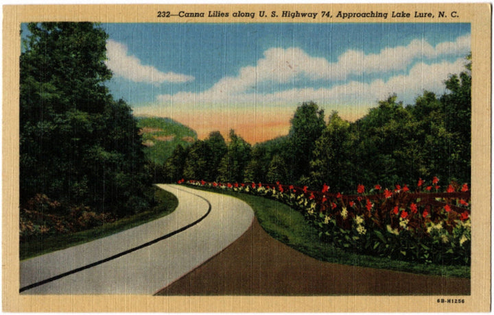 Vintage postcard of a scenic road with flowers and trees, labeled 'Canna Lilies along U.S. Highway 74, approaching Lake Lure NC.