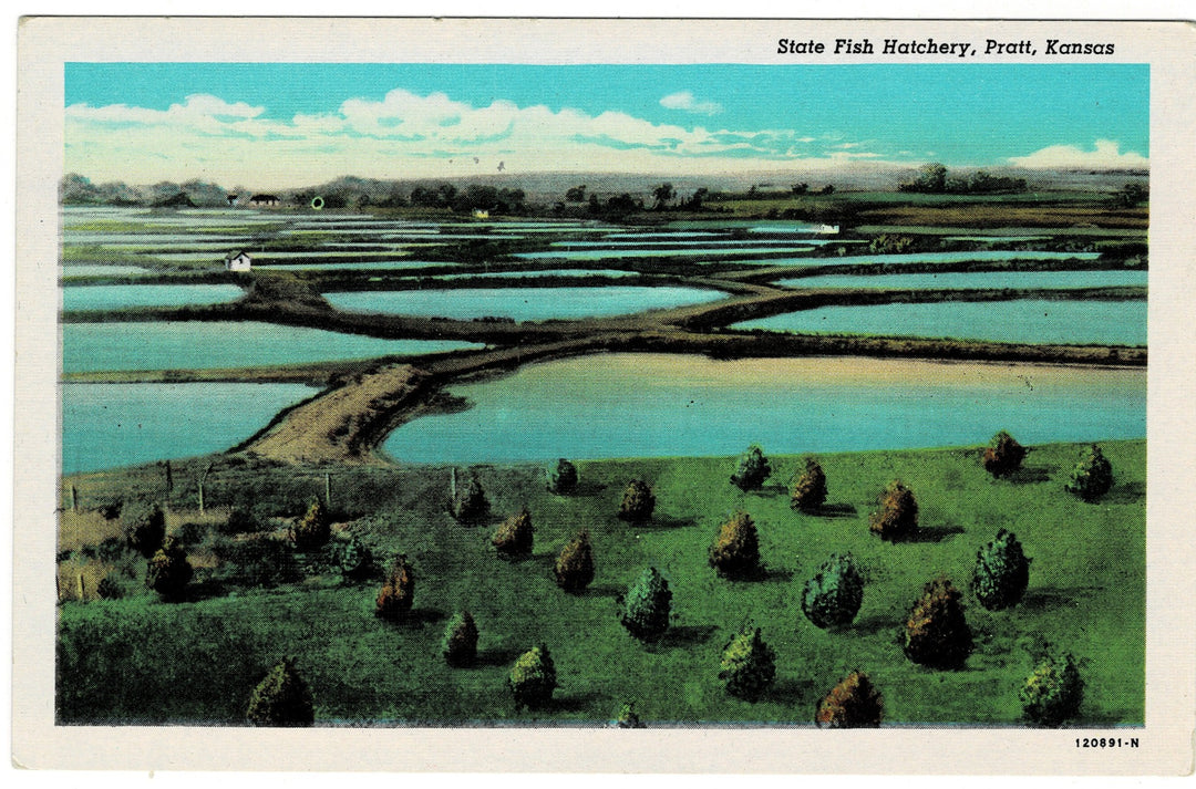 Vintage postcard.