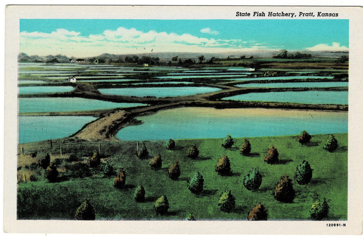 Vintage postcard.