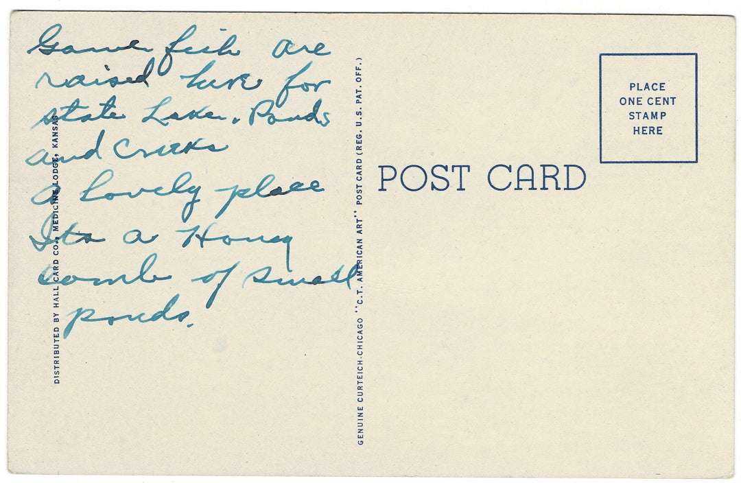 Vintage postcard.