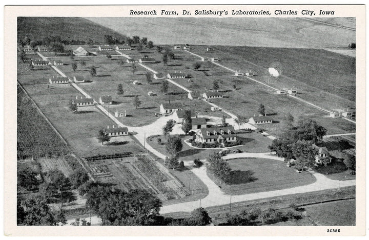 Vintage postcard.