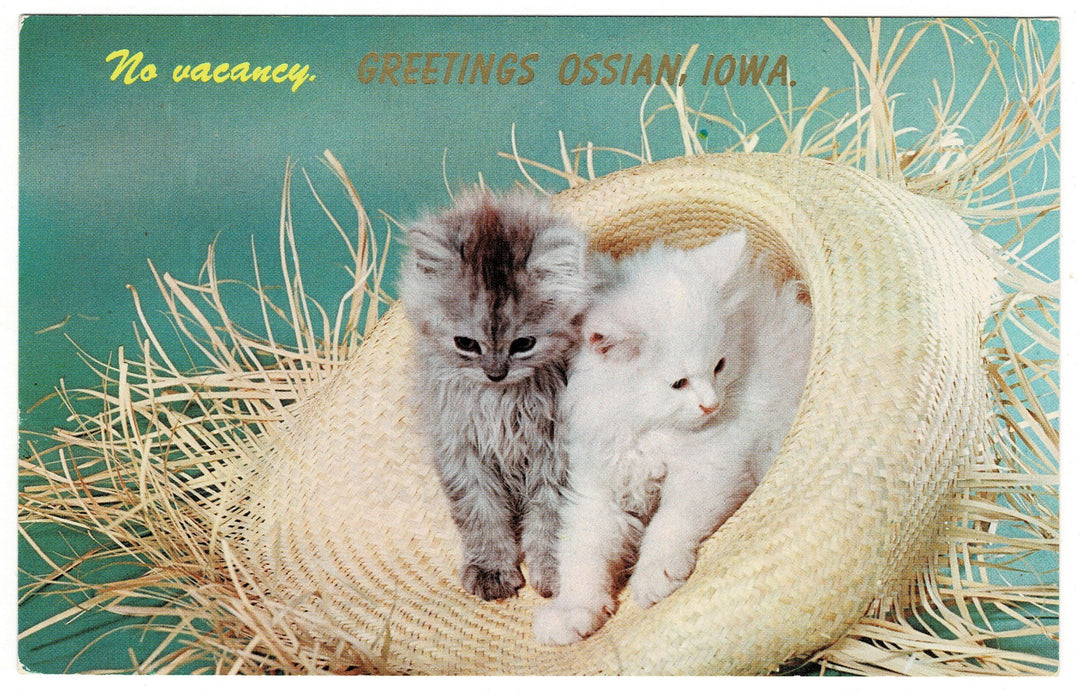 Vintage postcard.