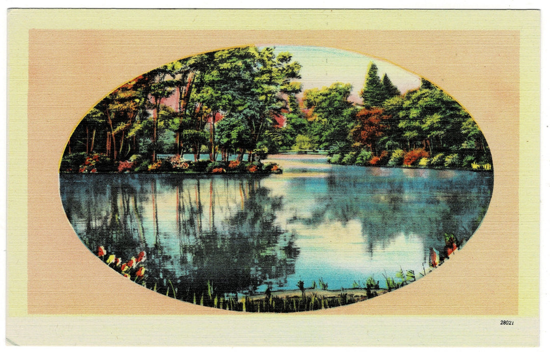 Vintage postcard.