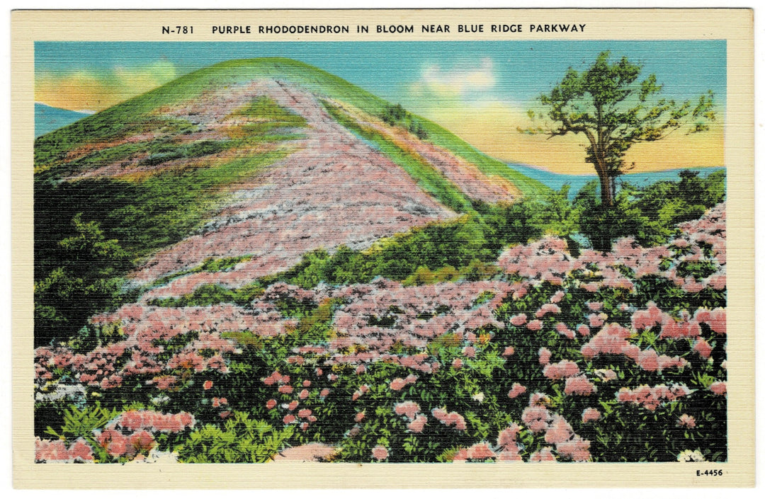 Vintage postcard.