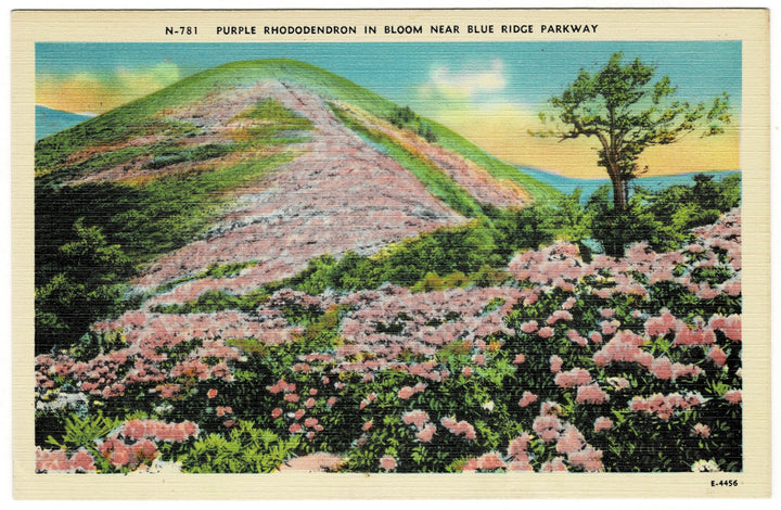 Vintage postcard.
