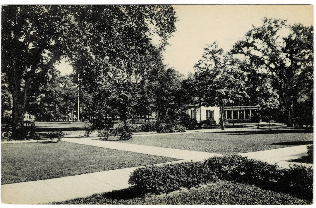 Vintage postcard