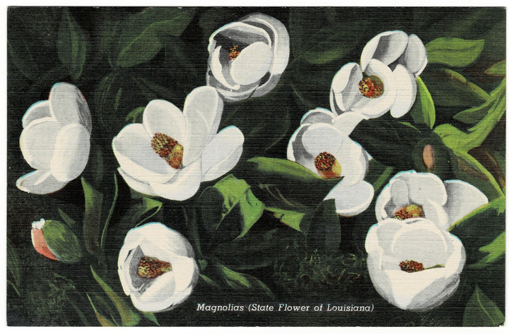 Vintage postcard.