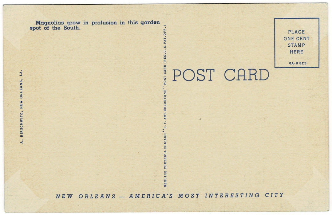 Vintage postcard.