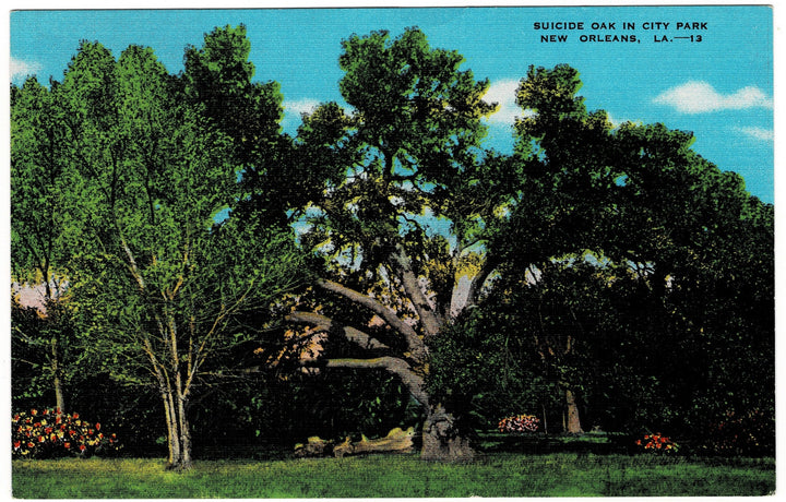 Vintage postcard.